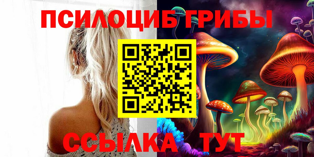 Псилоцибиновые грибы Psilocybe  Вход с VPN  Самара 